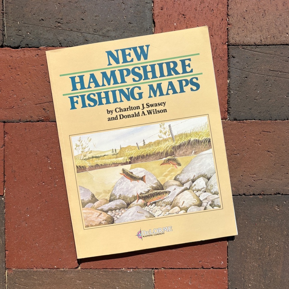 1986 New Hampshire Fishing Maps NH Trout Ossipee Lake Fathers Day Fish Pond